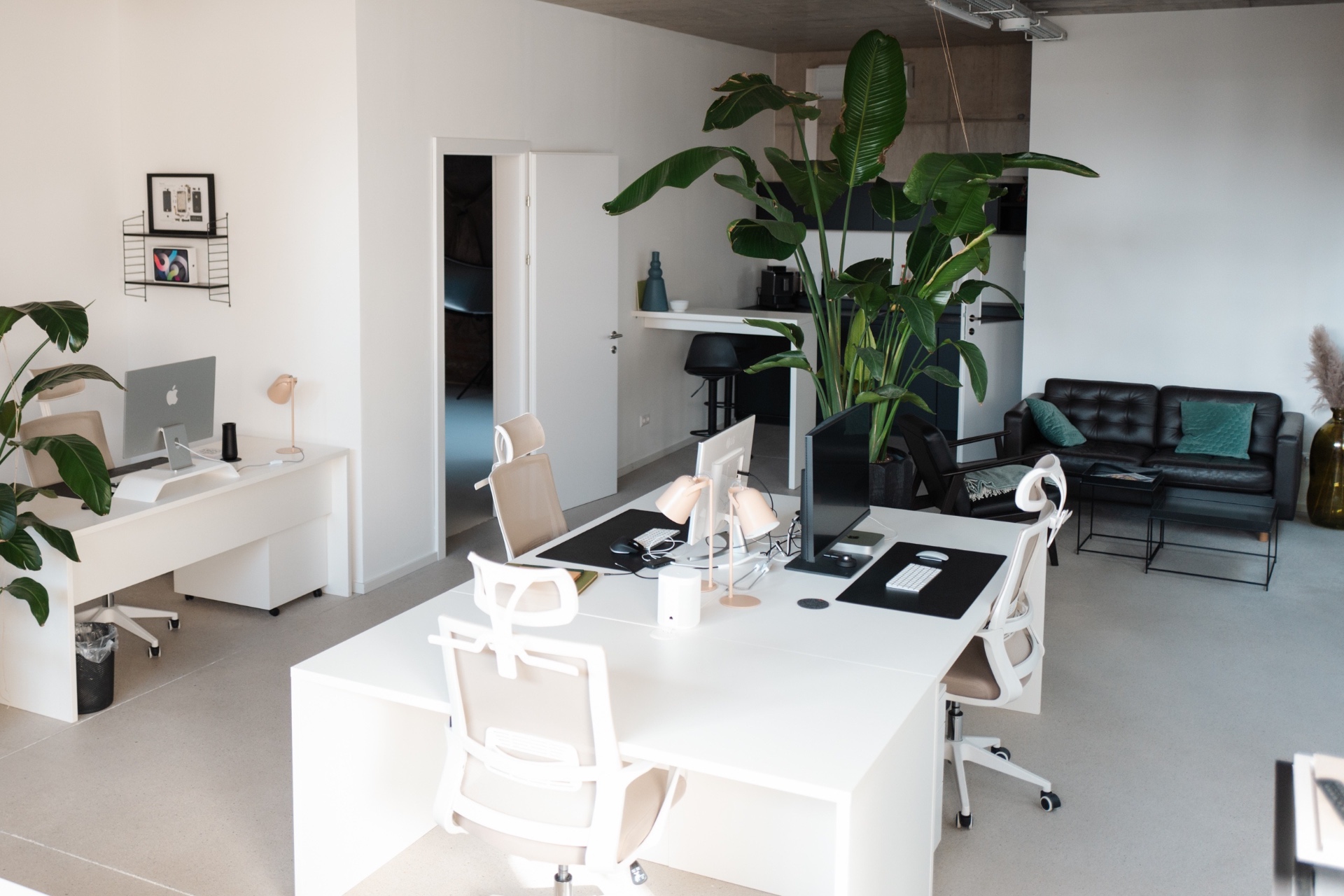 Herr Paul Studio